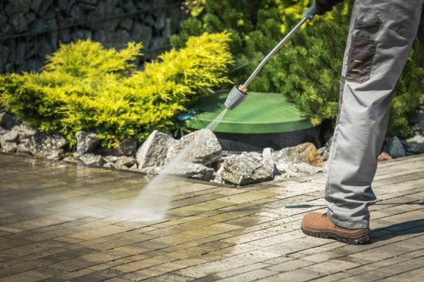 Best Animal Enclosure Cleaning  in Waipahu, HI